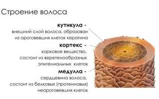 Колористика волос книга