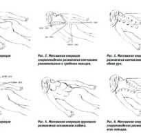 Приемы классического массажа видео уроки