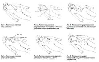 Массаж спины мастер класс