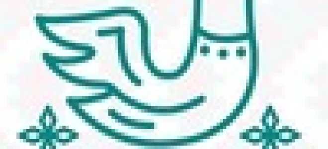 Этнический диктант пройти онлайн