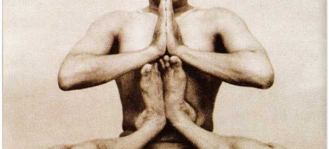 Скачать бесплатно видео хатха йога для начинающих