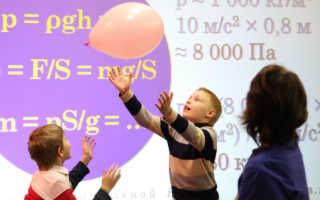 Курсы для школьников при мгу бесплатно