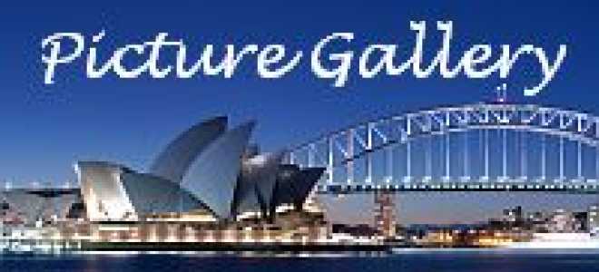 Огэ по английскому 2020 онлайн