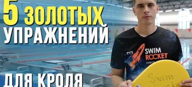 Уроки плавания кролем для начинающих